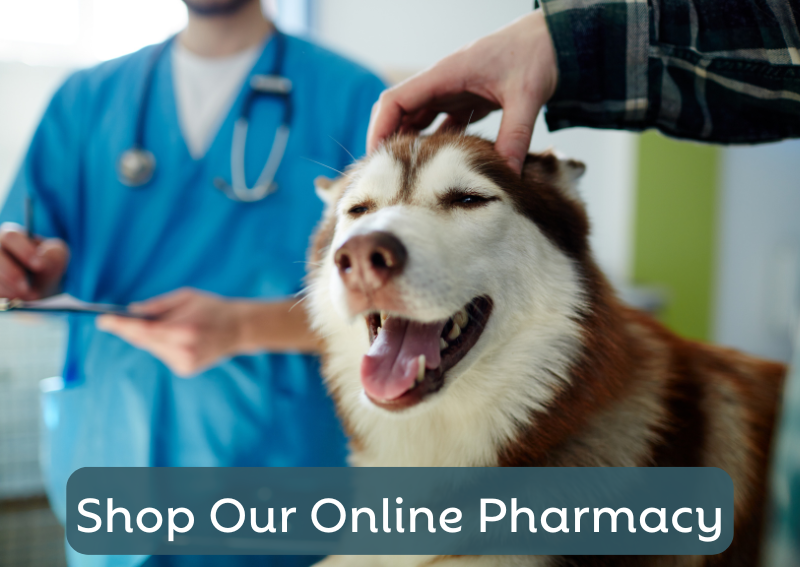 Carousel Slide 1: Shop our convenient online pet pharmacy