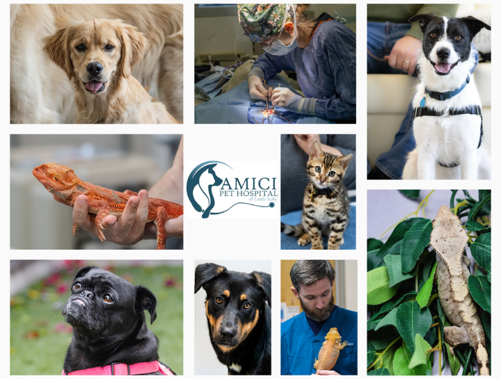 San Diego Pet Hospital