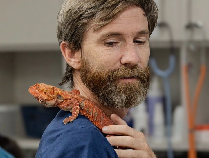Exotic Vet in $city